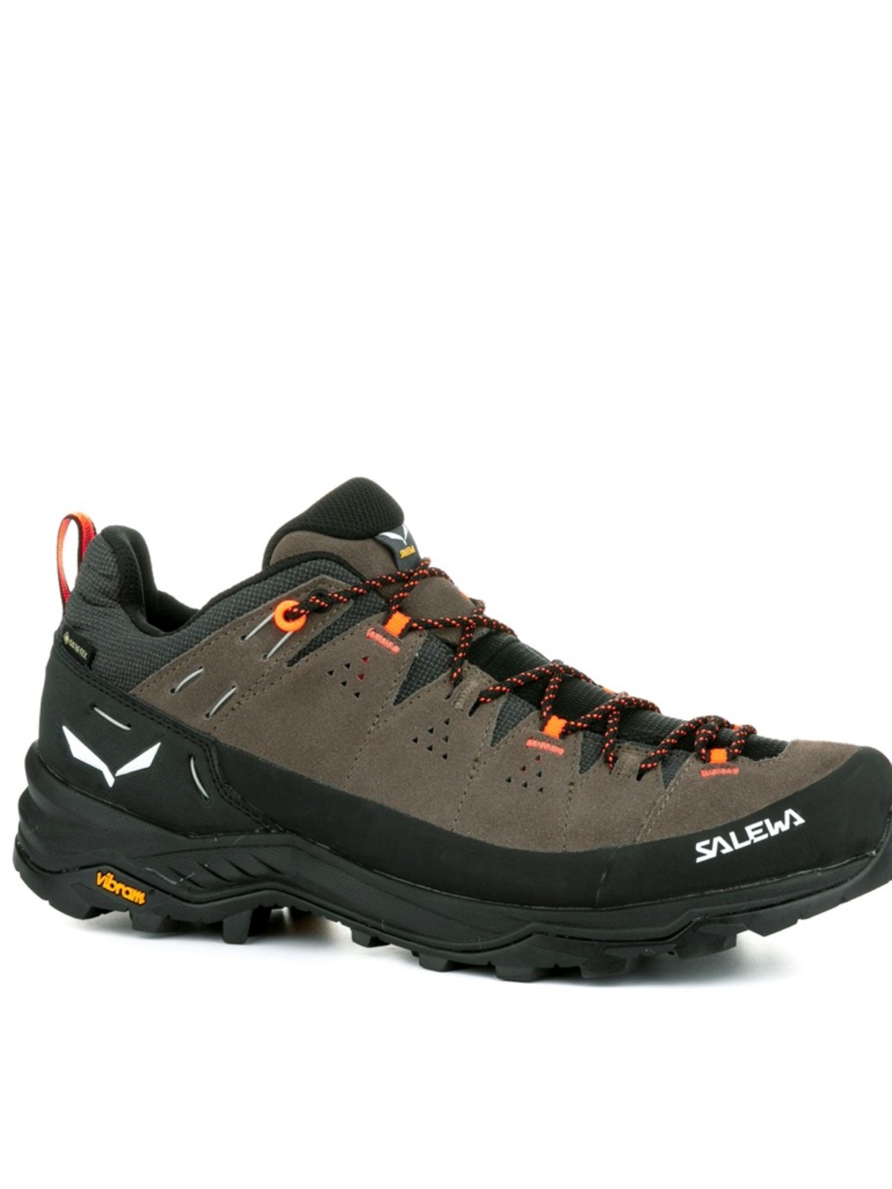 Salewa Brown & Black Alpine 2 gore-Tex Hiking Shoes Men Size 9